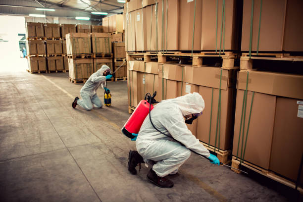 Best Pest Control Near Me  in Laurel Lake, NJ