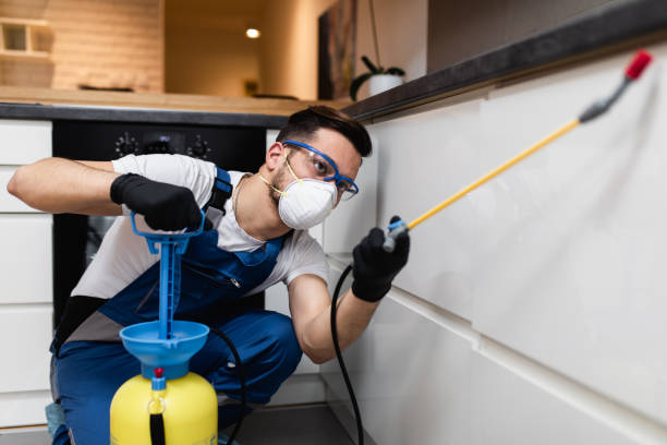 Best Emergency Pest Control  in Laurel Lake, NJ