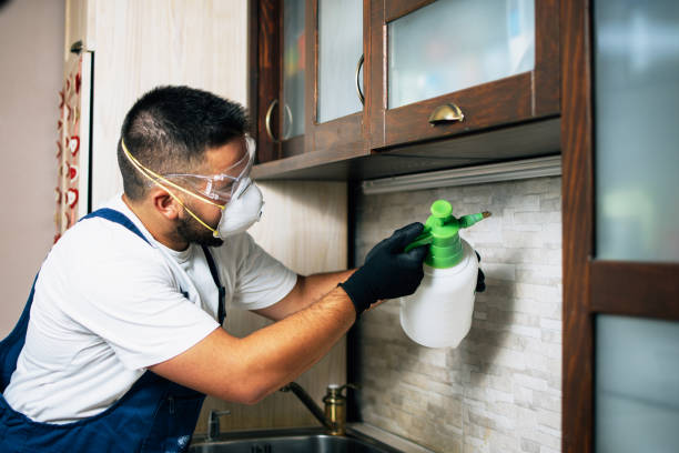 Best Affordable Pest Control Services  in Laurel Lake, NJ
