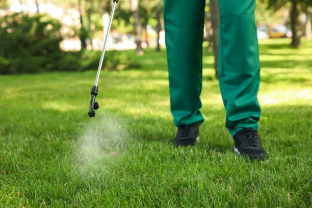 Best Best Pest Control Companies  in Laurel Lake, NJ