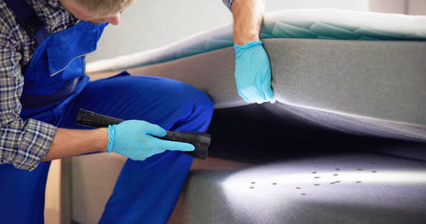 Best Ant Control Services  in Laurel Lake, NJ
