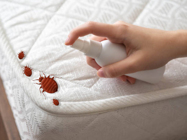 Best Pest Control Near Me  in Laurel Lake, NJ