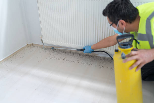 Best Residential Pest Control  in Laurel Lake, NJ